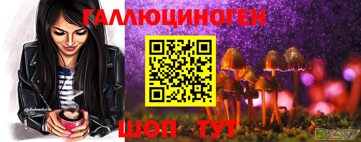 Когалым  Псилоцибиновые грибы Psilocybe  Вход с VPN 